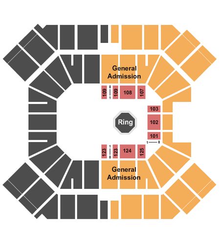 Pan American Center