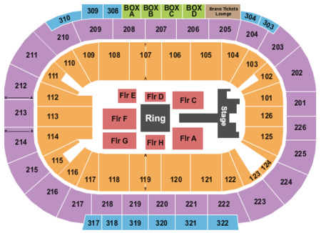 Michelob ULTRA Arena At Mandalay Bay